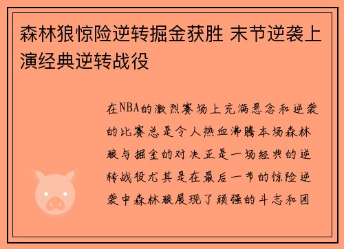 森林狼惊险逆转掘金获胜 末节逆袭上演经典逆转战役