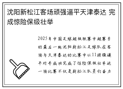 沈阳新松江客场顽强逼平天津泰达 完成惊险保级壮举