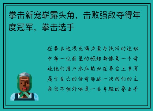 拳击新宠崭露头角，击败强敌夺得年度冠军，拳击选手